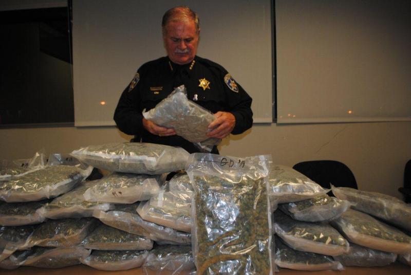 Sheriff Tim Howard inspects one of the 33 pounds of marijuana recently